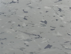 XNT6152-02 紫甘藍